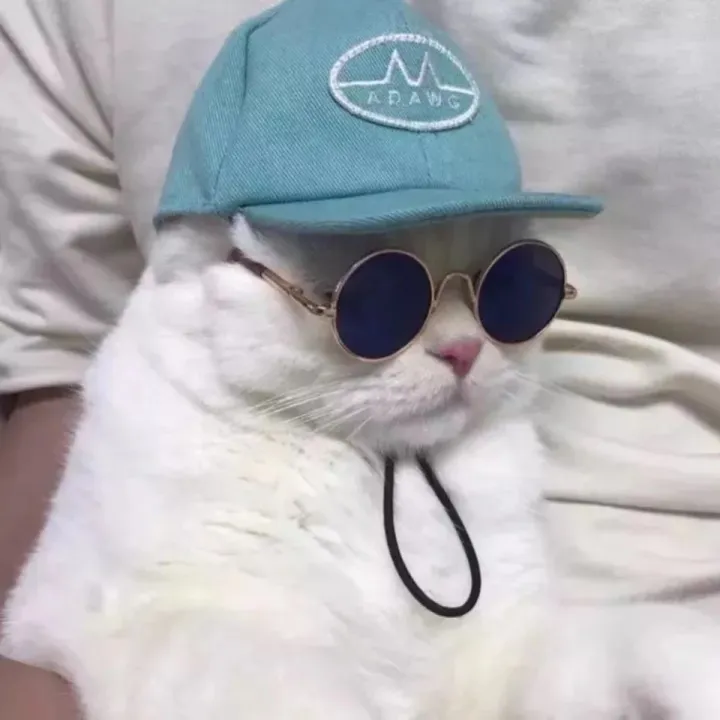 我的梦境博客